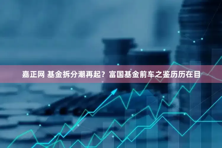 嘉正网 基金拆分潮再起？富国基金前车之鉴历历在目